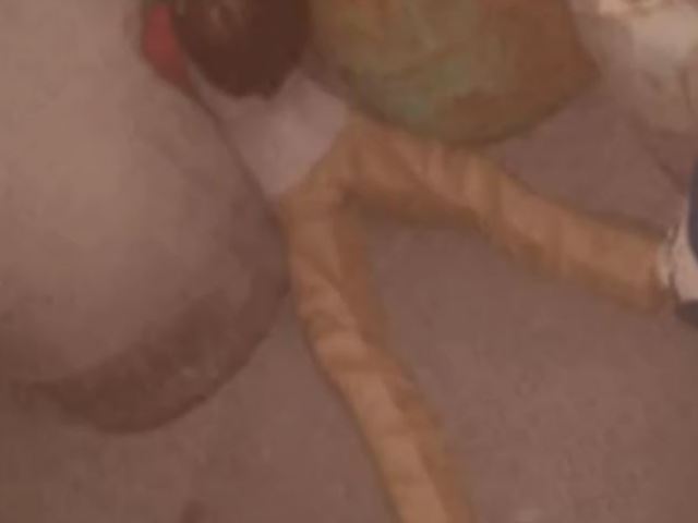 ������ ���������� ������������ ������� � ��������� ������